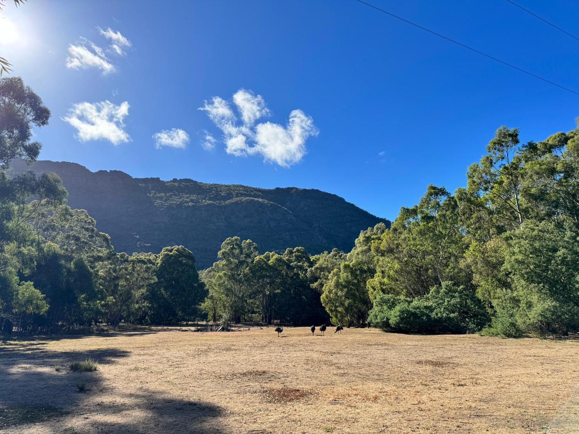 Halls Gap Log Cabins Exteriér fotografie