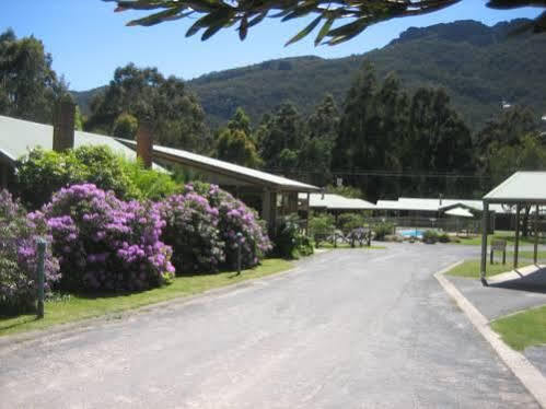 Halls Gap Log Cabins Exteriér fotografie